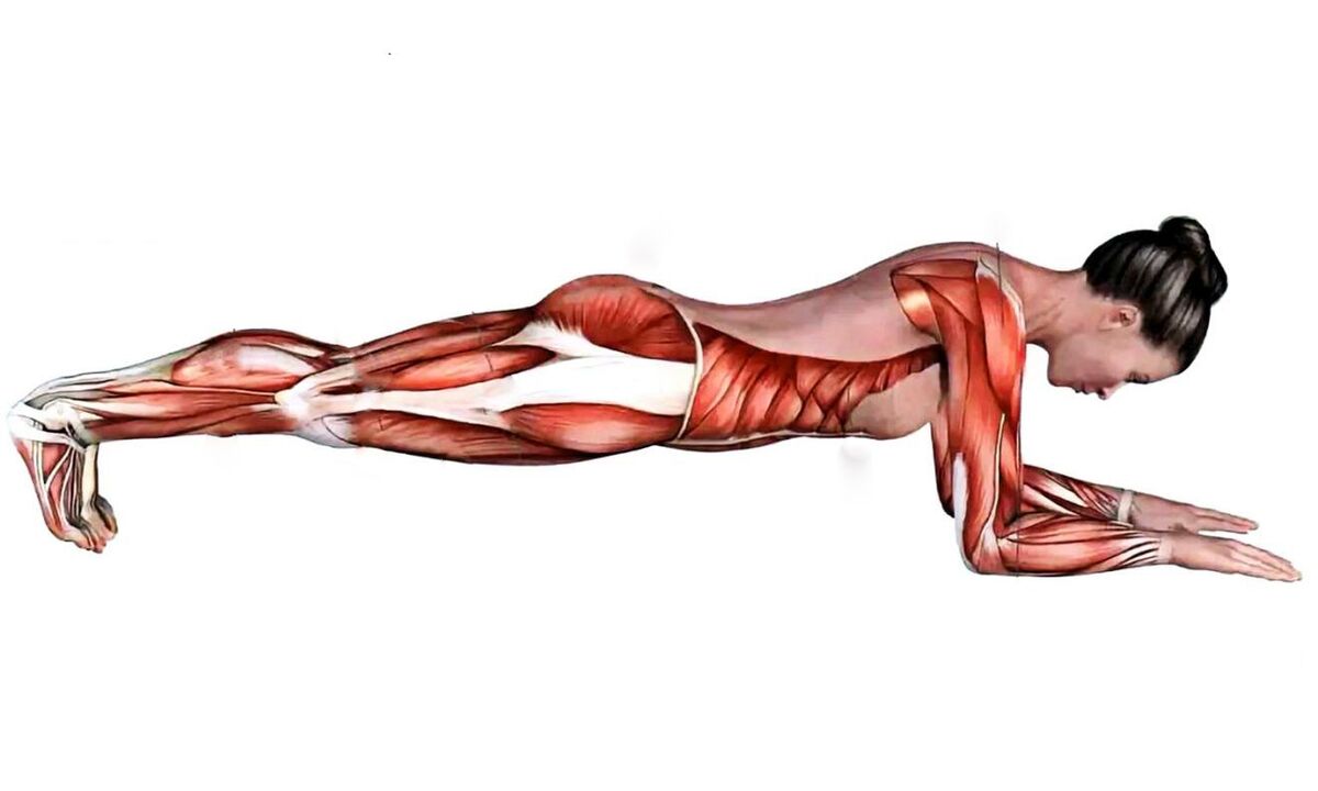 qué músculos trabajan en la plancha